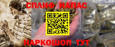 ECSTASY Новодвинск