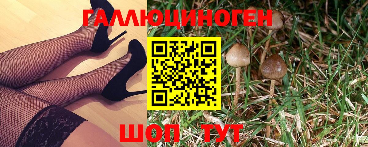 Галлюциногенные грибы Psilocybe Павлово