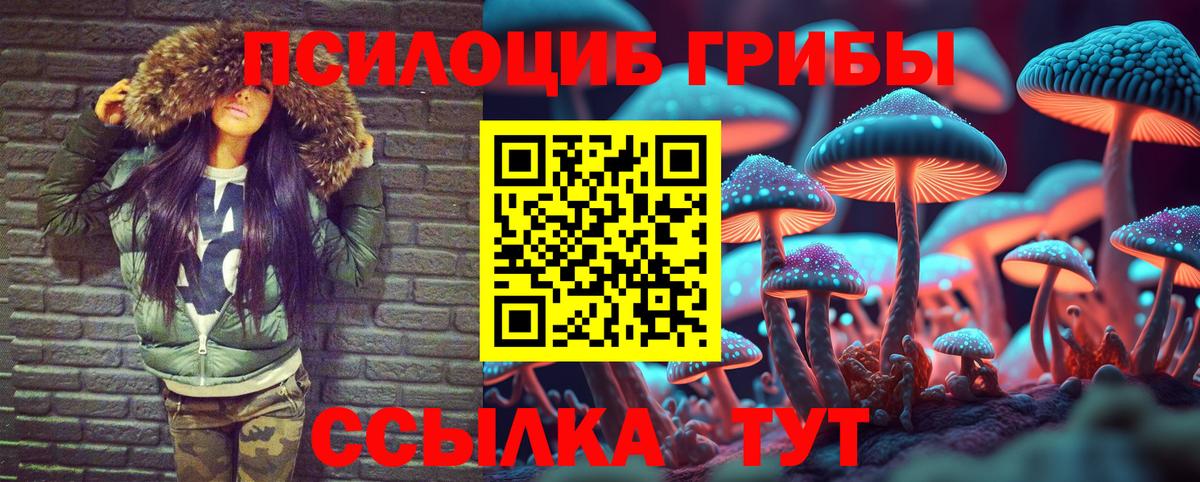 Павлово  Псилоцибиновые грибы GOLDEN TEACHER  Вход с VPN 